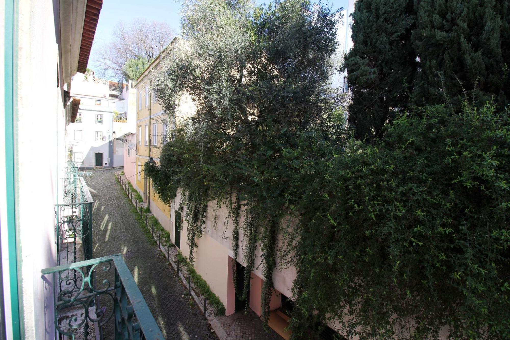 Wot New * Lissabon